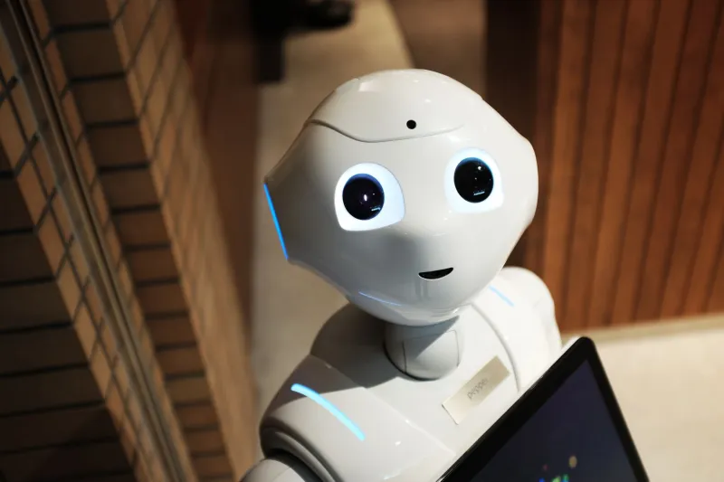 Inside the Algorithm: How Asia's Betting Syndicates Are Outsmarting American Sportsbooks with AI